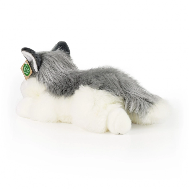 Rappa Pluszowy pies husky leżący 30 cm