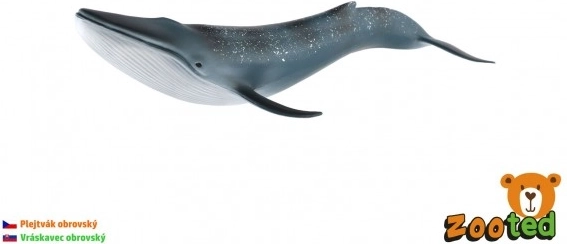 Model płetwala błękitnego 27 cm