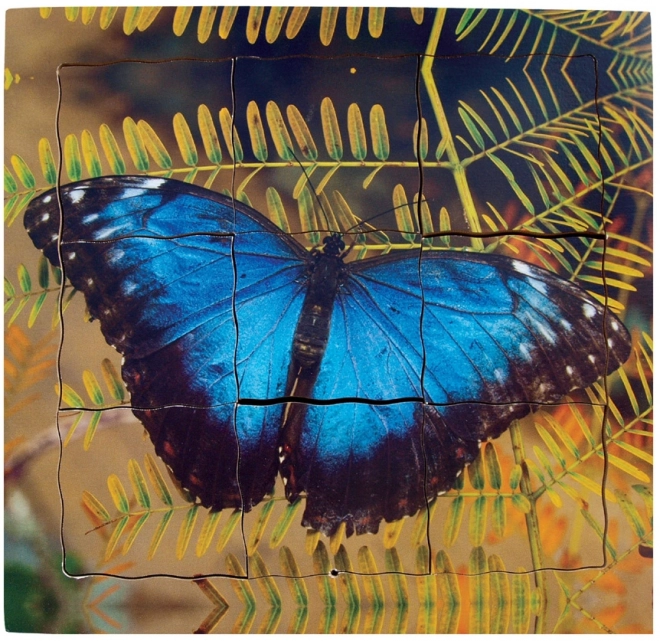 Motyl i jego cykl życiowy - Drewniane warstwowe puzzle 19 części