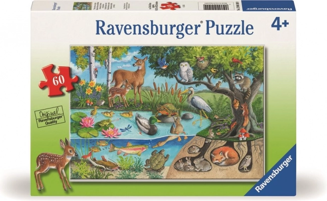 Puzzle zwierzęta na ziemi i pod nią – tajemnice przyrody 60 elementów