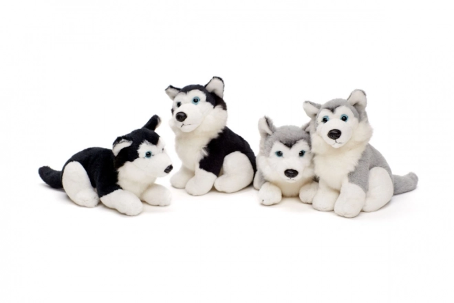 Pluszowy husky 15 cm