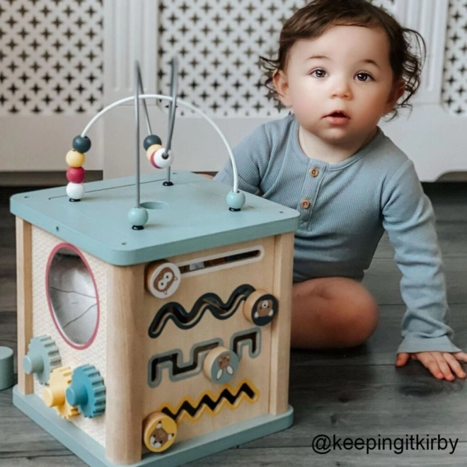 Bigjigs Baby Kostka Aktywnościowa
