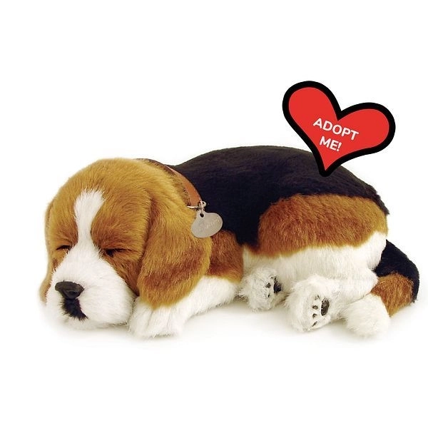 Oddychające szczeniaczko Beagle Perfect Petzzz