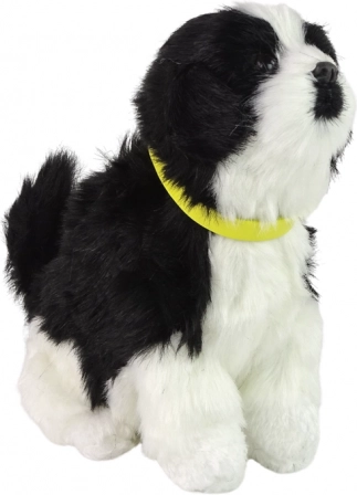 Interaktywny pluszowy piesek Border Collie – szczeka i merda ogonem
