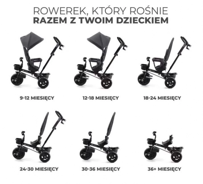 Dziecięcy rowerek trójkołowy Aveo Malachite Grey