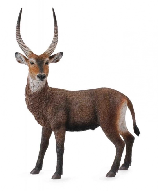 Antylopa Wodna CollectA