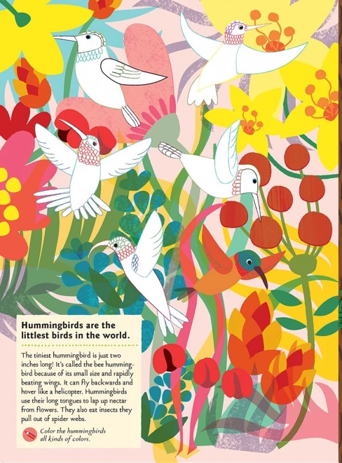 Chronicle Books Książka zadań z naklejkami natura Ptaki świata