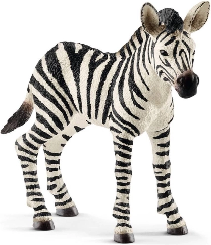 Figurka młodej zebry Schleich Wild Life