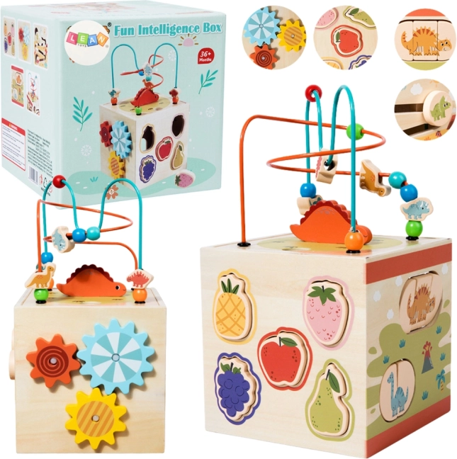 Drewniana sensoryczna edukacyjna kostka Montessori