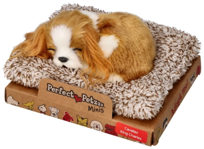 Śpiące szczenię Cavalier King Charles Perfect Petzzz