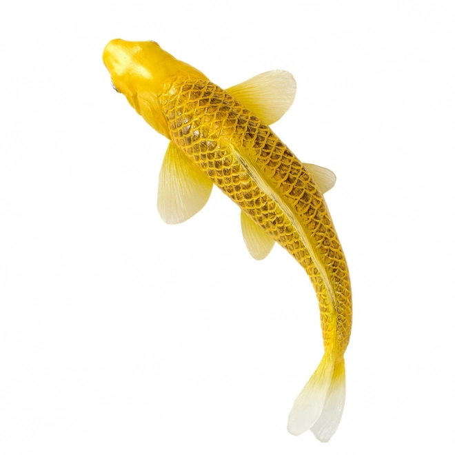 Mojo karp koi Matsuba