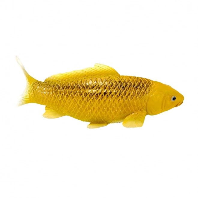 Mojo karp koi Matsuba