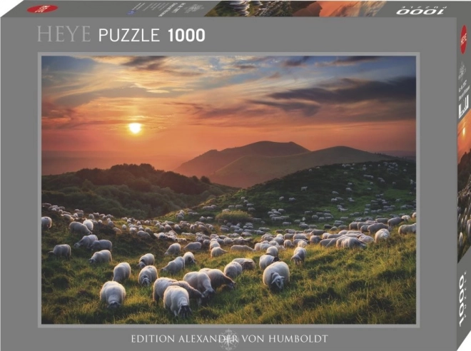 Puzzle 1000 elementów Owce i wulkany