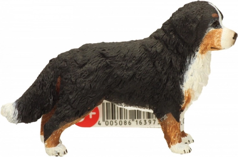 Wartość edukacyjna