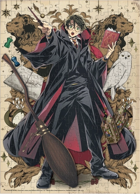Puzzle DODO Harry Potter: Młody czarodziej 250 elementów