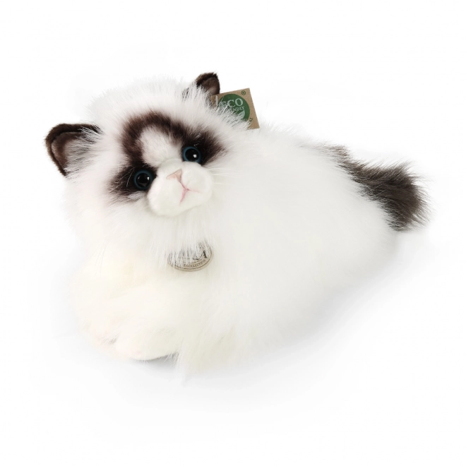 Pluszowy kot Ragdoll 35 cm ekologiczny
