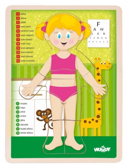 Woody drewniane dwustronne puzzle ciało ludzkie - dziewczynka