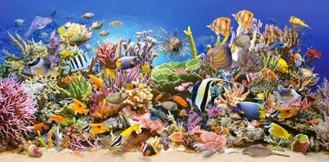 puzzle podwodne życie 4000 elementów CASTORLAND