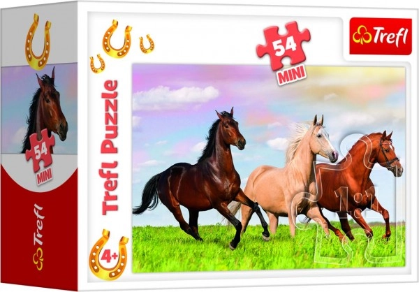 Piękne motywy koni