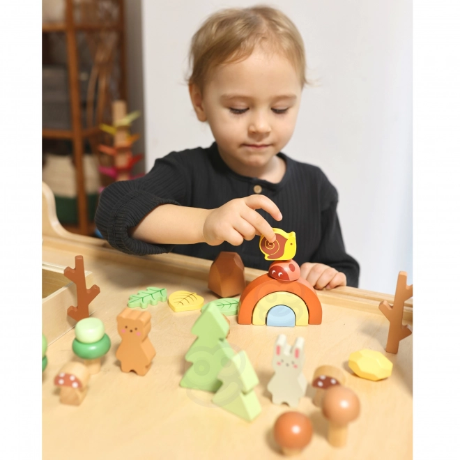 Leśny zestaw z drewnianymi klockami Tooky Toy
