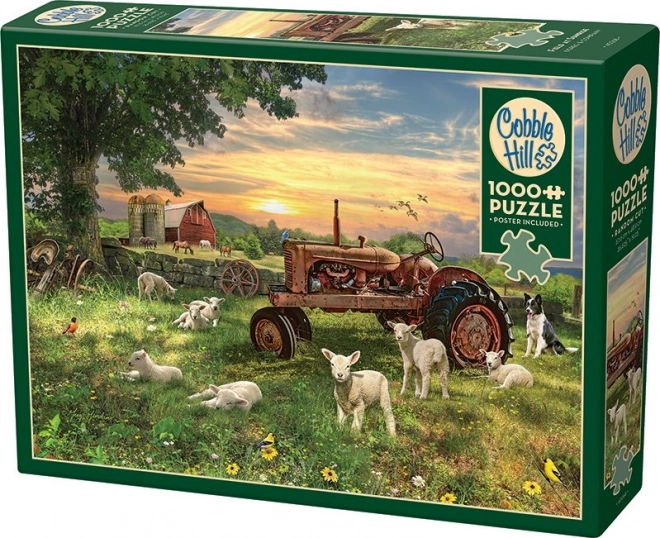Puzzle Pole przy wschodzie słońca od Cobble Hill 1000 elementów