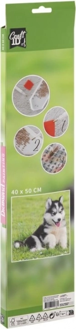 GRAFIX Malowanie Diamentowe Husky 40x50cm
