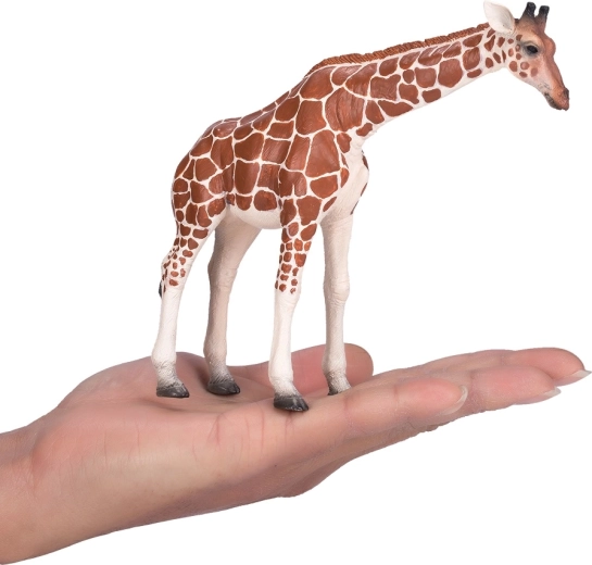 Kompaktowy, a jednocześnie imponujący rozmiar