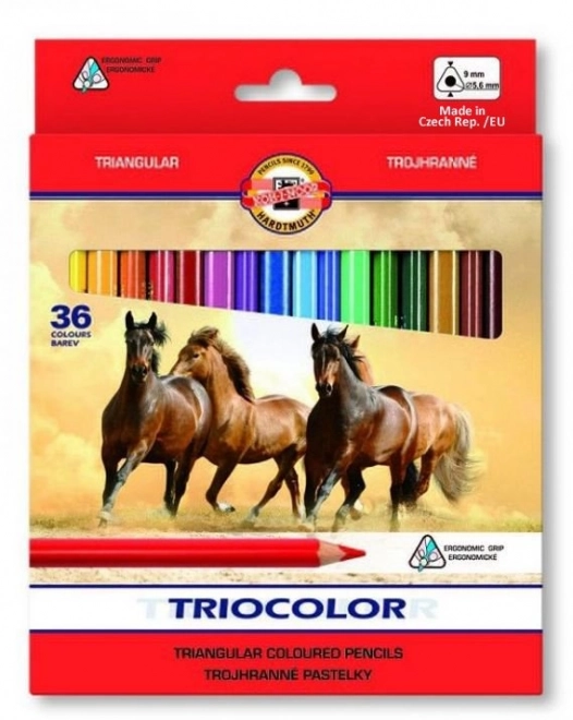 KOH-I-NOOR Trójkątne kredki Triocolor 3145 - 36 szt.