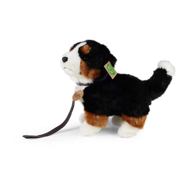 Pluszowy berneński pies pasterski Eco-Friendly 22 cm