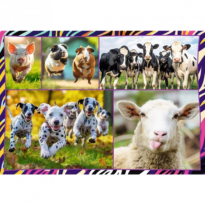 Puzzle 4x250 elementów Zabavne zwierzęta