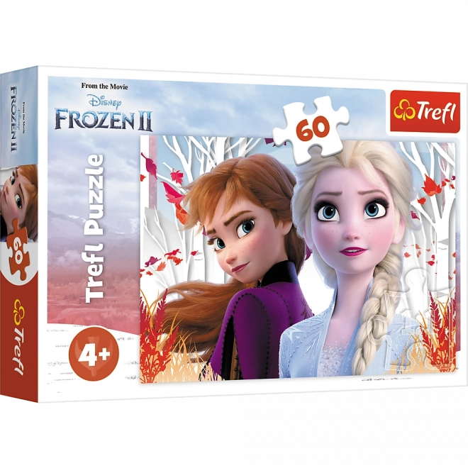 Puzzle 60 elementów Cudowny świat Anny i Elsy