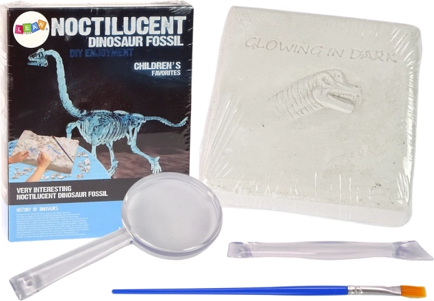 Archeologiczny zestaw wykopaliskowy dinozaur 3D szkielet Brachiozaur