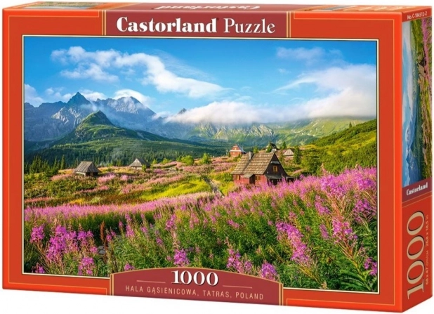 Puzzle 1000 elementów Hala Gąsienicowa, Tatry, Polska