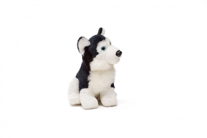 Pluszowy husky 15 cm