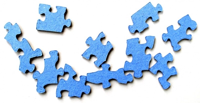 COBBLE HILL Puzzle Kocie gadki 1000 elementów