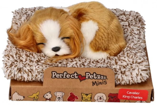 Śpiące szczenię Cavalier King Charles Perfect Petzzz