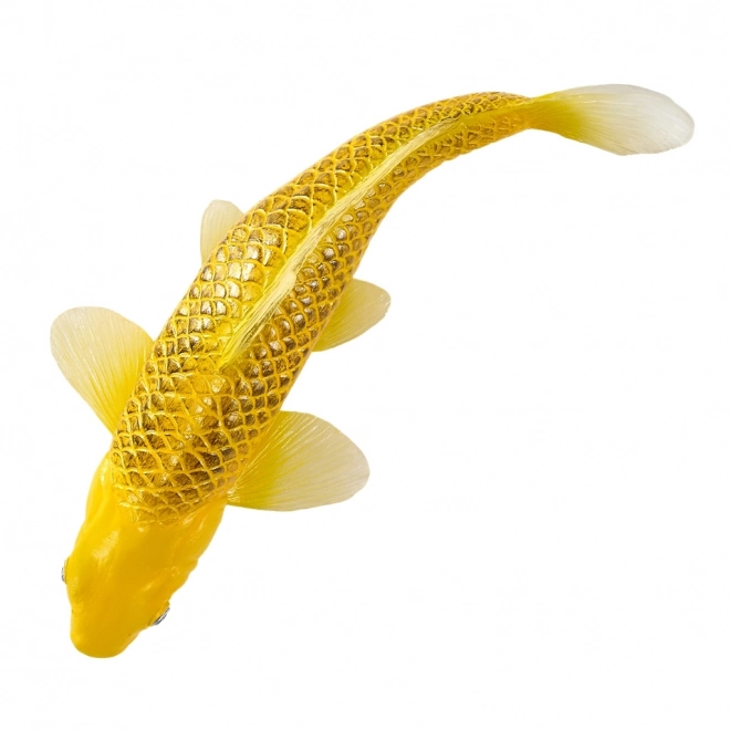 Mojo karp koi Matsuba