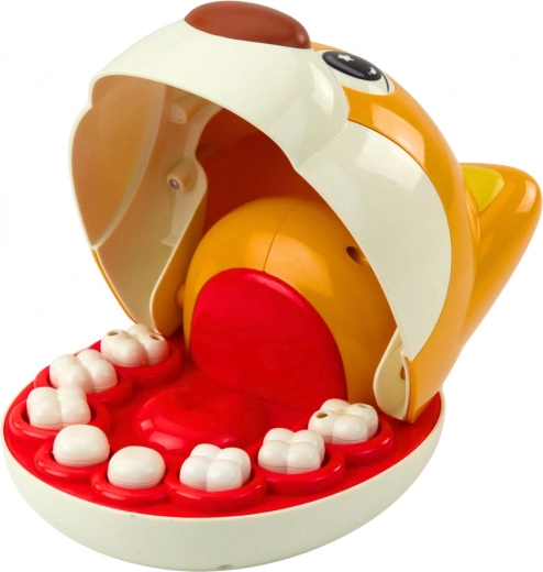 8 wyjmowanych zębów i realistyczne narzędzia