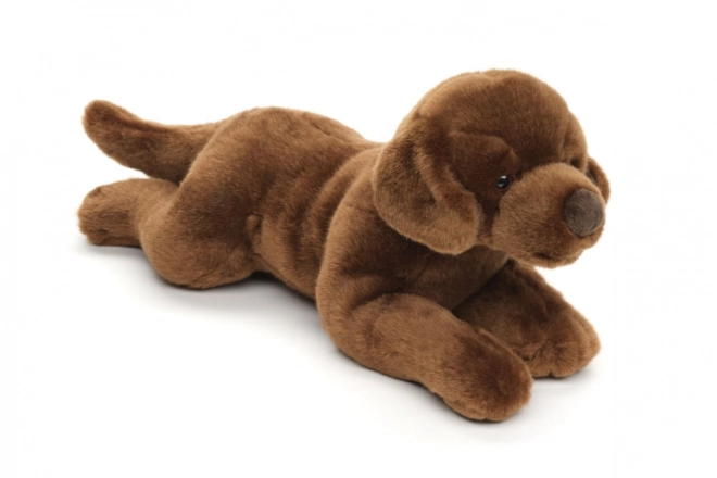 Plyszowy labrador 40 cm PRZYJAZNY DLA ŚRODOWISKA