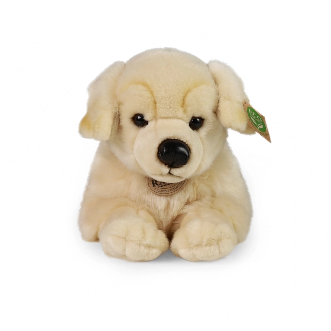 Pies pluszowy Golden Retriever Eco Friendly