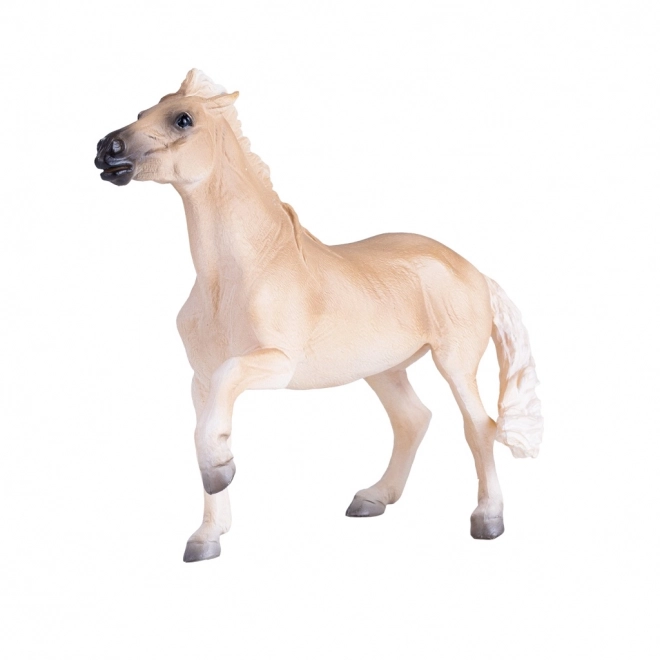 Mojo Koń Brumby Klacz