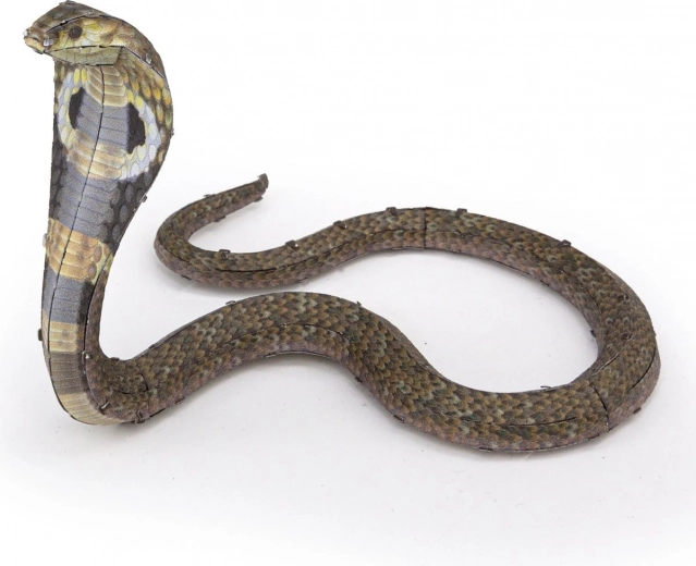 Elastyczna, efektowna poza kobry