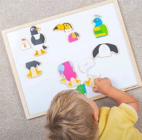 Drewniane magnesy Ptasí przyjaciele BIGJIGS TOYS