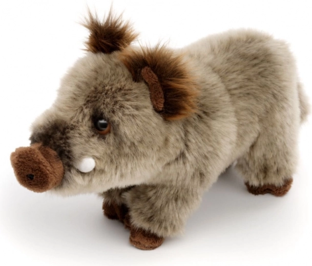 Realistyczne detale dzika