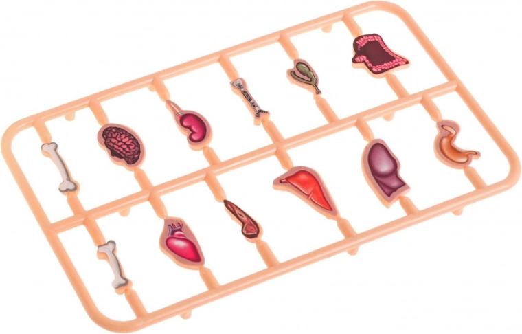 Kompletny zestaw z 12 narządami i schowkiem