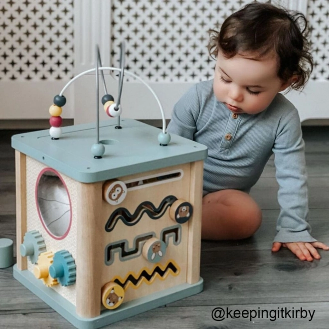 Bigjigs Baby Kostka Aktywnościowa