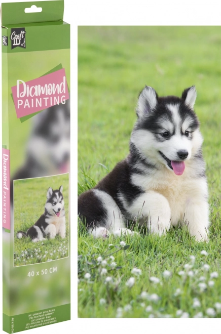 GRAFIX Malowanie Diamentowe Husky 40x50cm