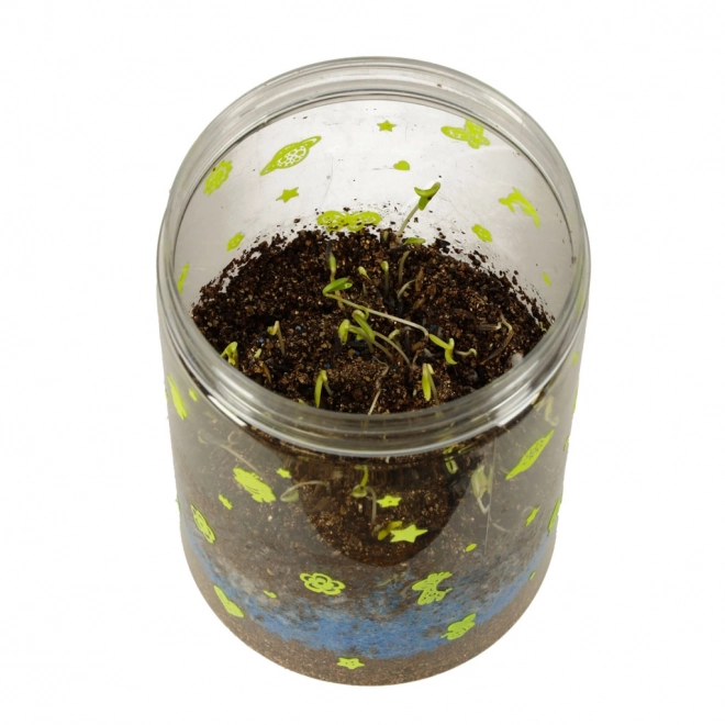 Terrarium do uprawy roślin z lampą LED i dinozaurami