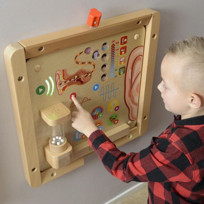 Masterkidz Edukacyjna Tablica Zmysły Wzrokowe Montessori