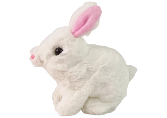 Interaktywny króliczek Bunny Rabbit White Carrot Bowl Mascot